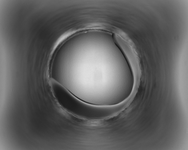X0000083971328200703091754