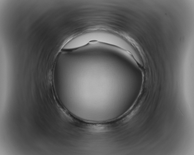 X0000083971329200703091754
