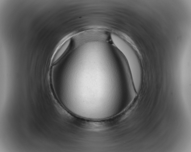 X0000083971330200703091754