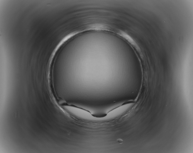 X0000083971331200703091754