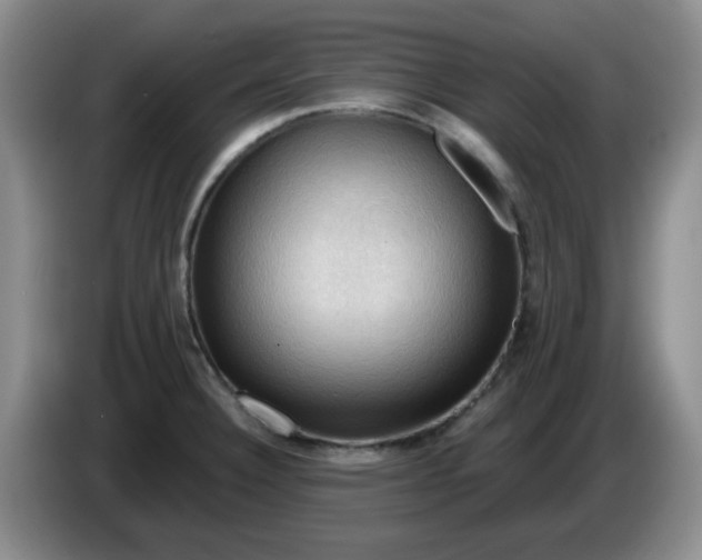 X0000083971332200703091754