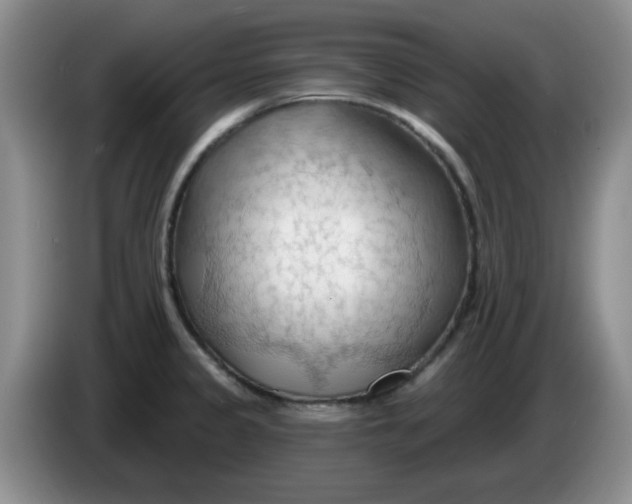 X0000083971333200703091754
