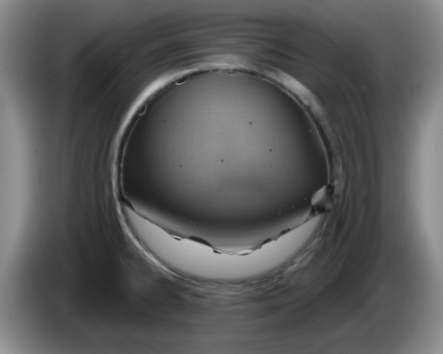X0000083971334200703091754