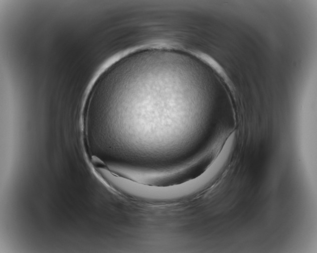 X0000083971335200703091754
