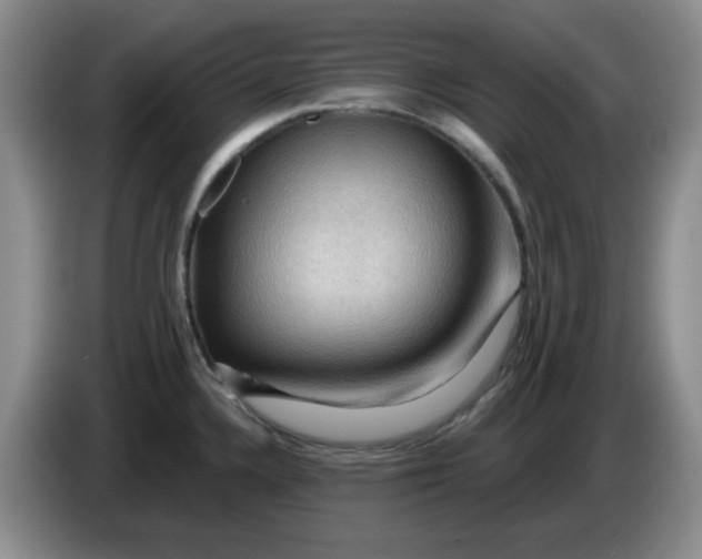 X0000083971336200703091754