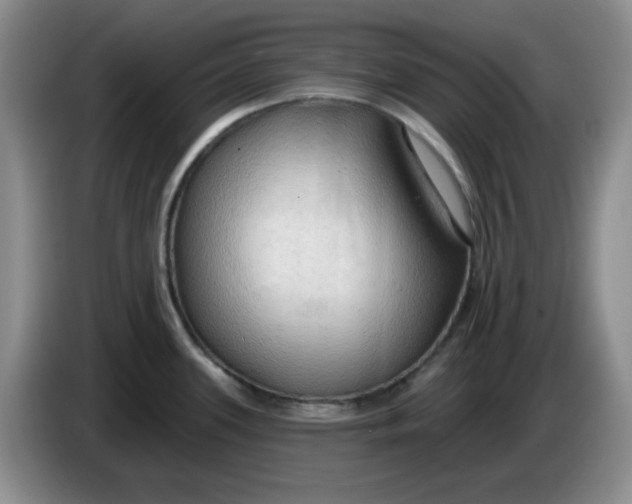 X0000083971339200703091754