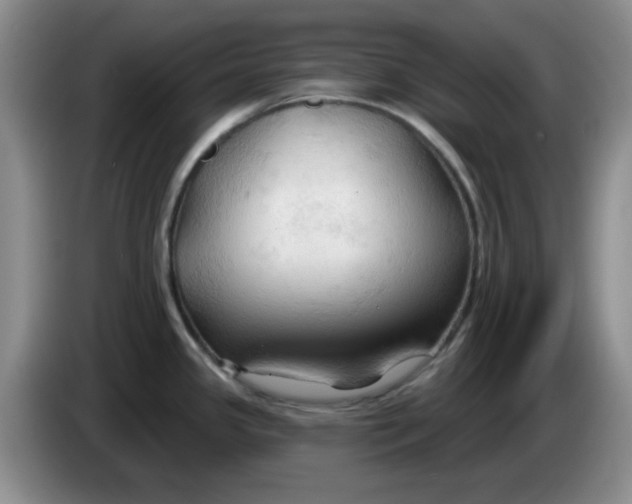 X0000083971341200703091754