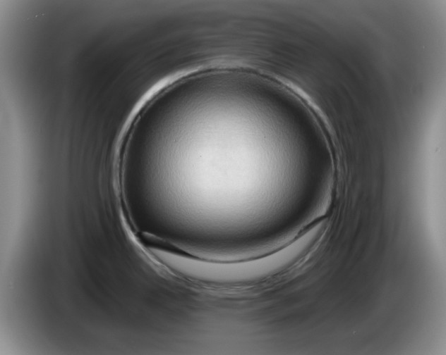 X0000083971342200703091754
