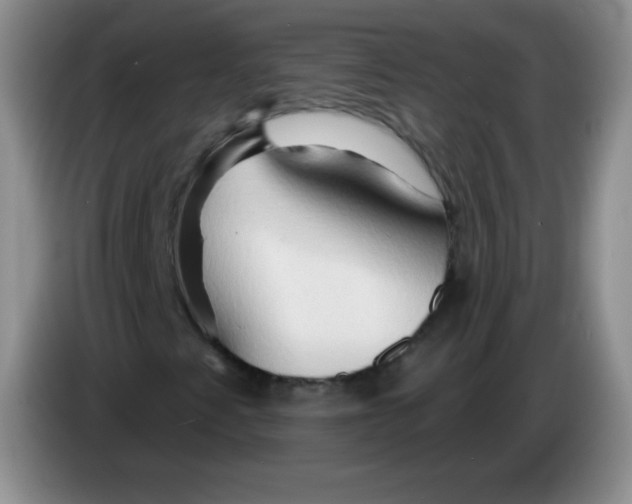 X0000083971345200703091753