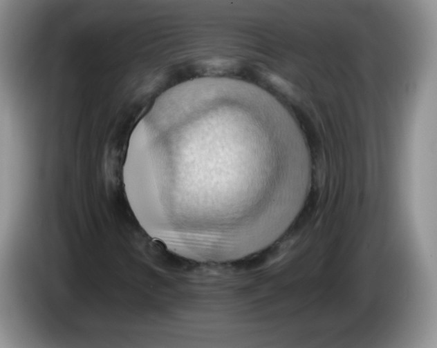 X0000083971346200703091753