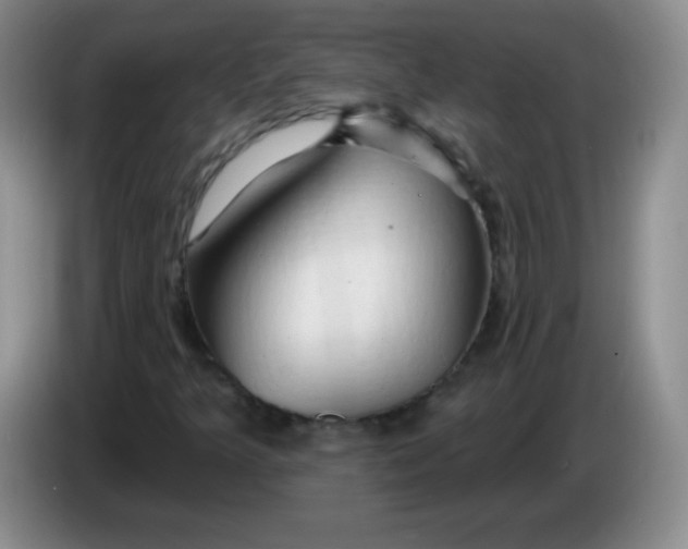X0000083971349200703091753