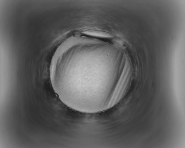 X0000083971350200703091753