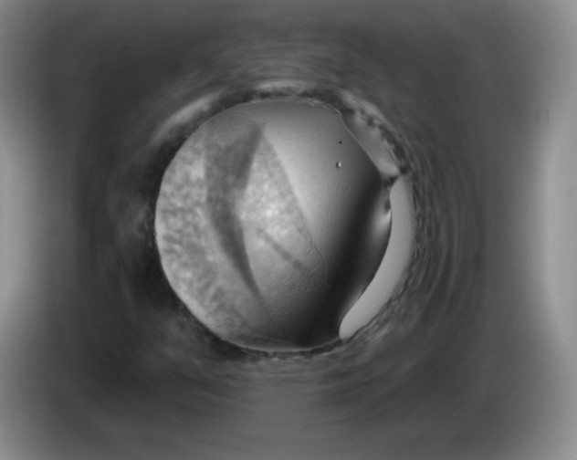 X0000083971351200703091753