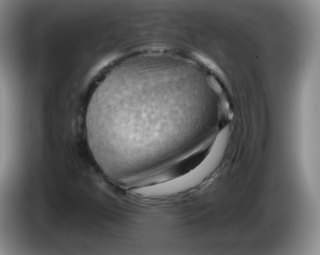 X0000083971352200703091753