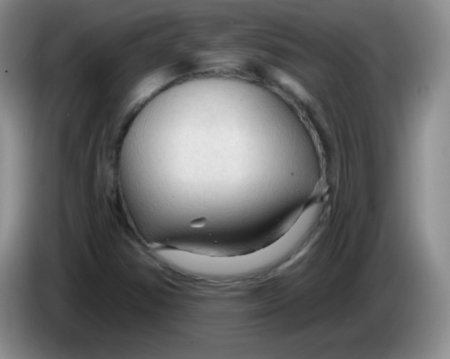 X0000083971354200703091753