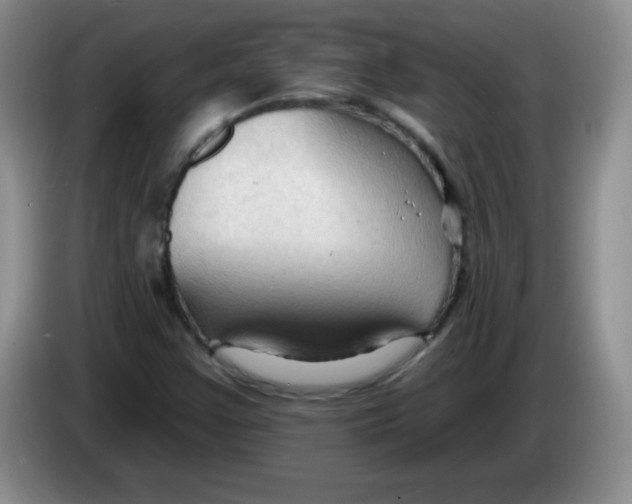 X0000083971355200703091753