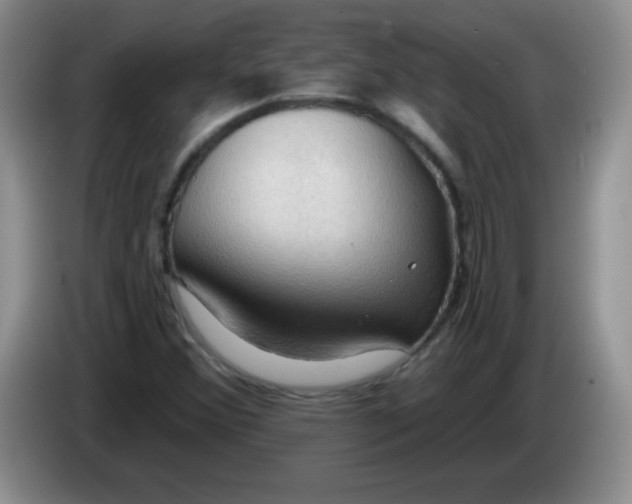 X0000083971356200703091753