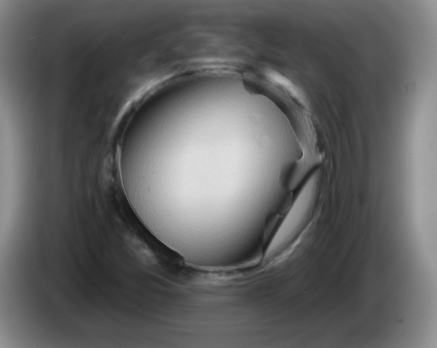 X0000083971357200703091753