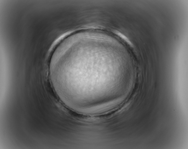 X0000083971358200703091753