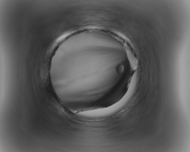 X0000083971359200703091753