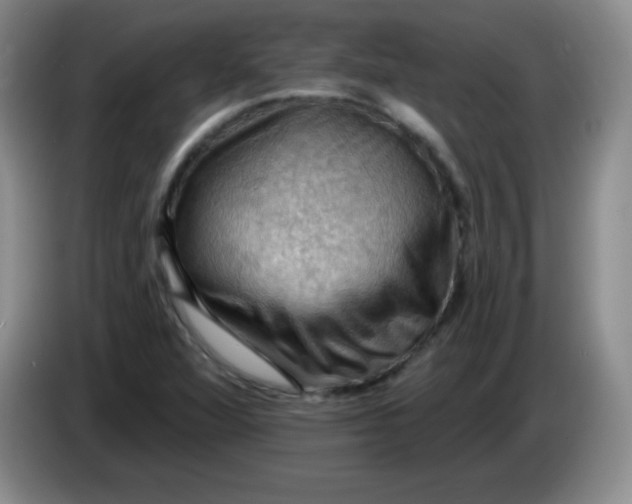 X0000083971360200703091753