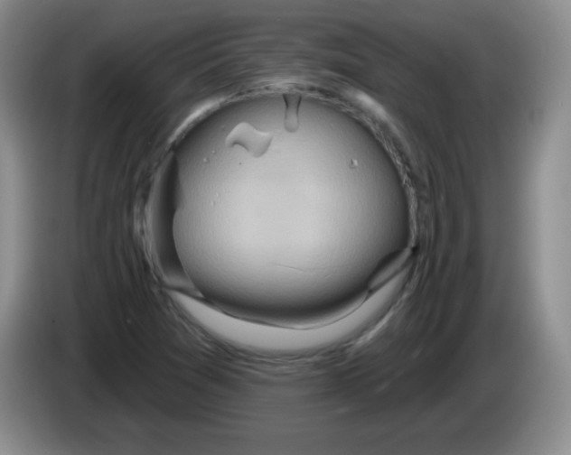X0000083971361200703091753