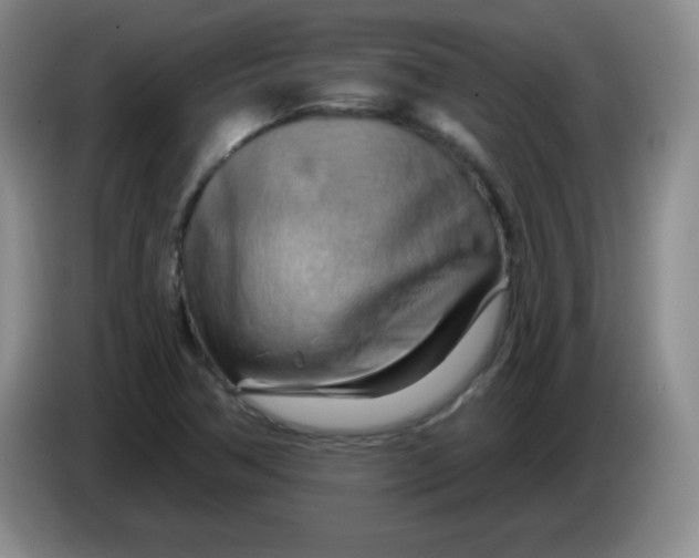 X0000083971362200703091753