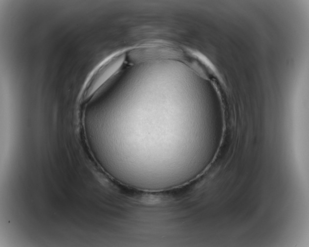 X0000083971364200703091753