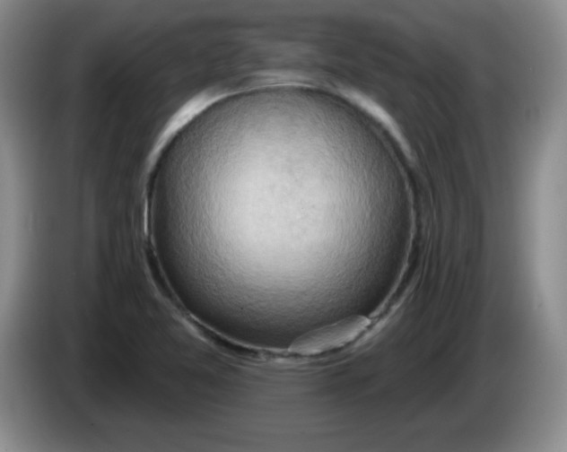 X0000083971365200703091753