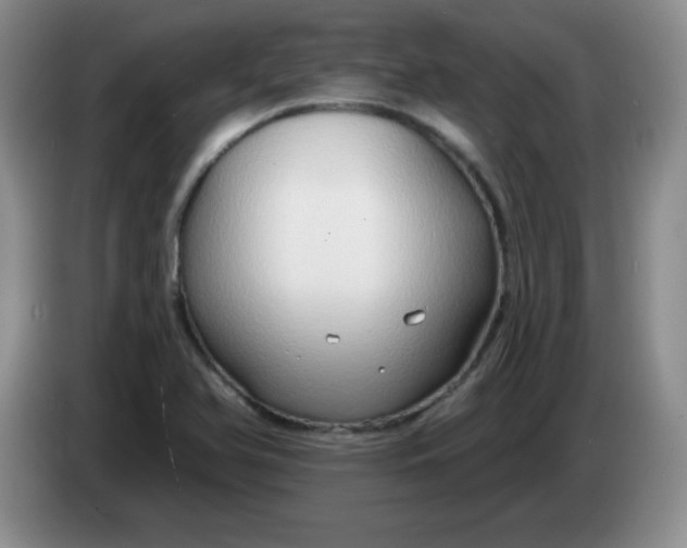 X0000083971366200703091753