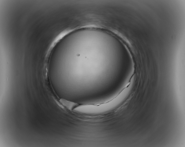 X0000083971367200703091753
