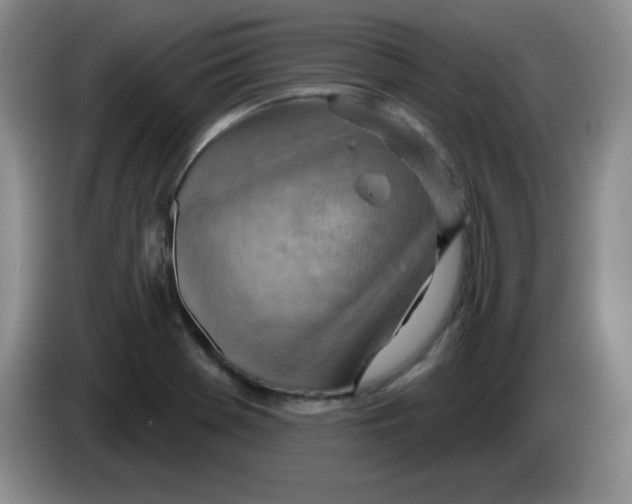 X0000083971369200703091753