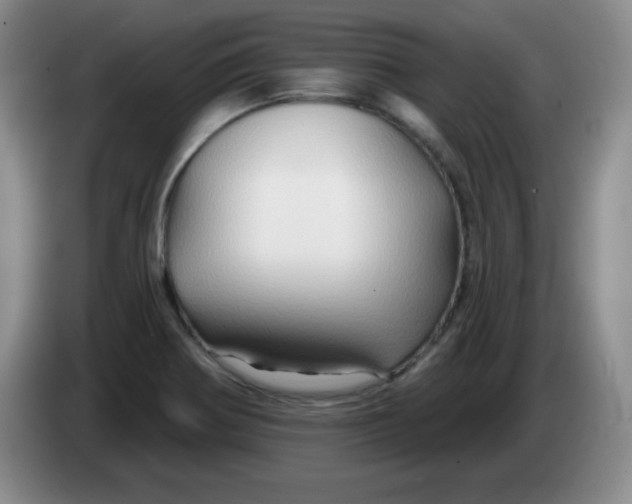 X0000083971370200703091753