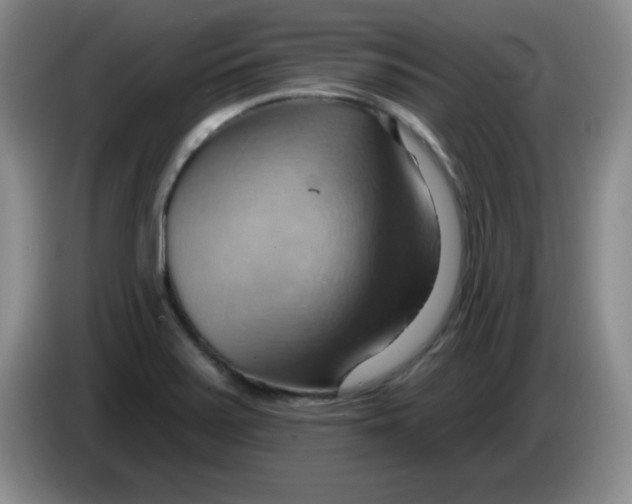 X0000083971371200703091753