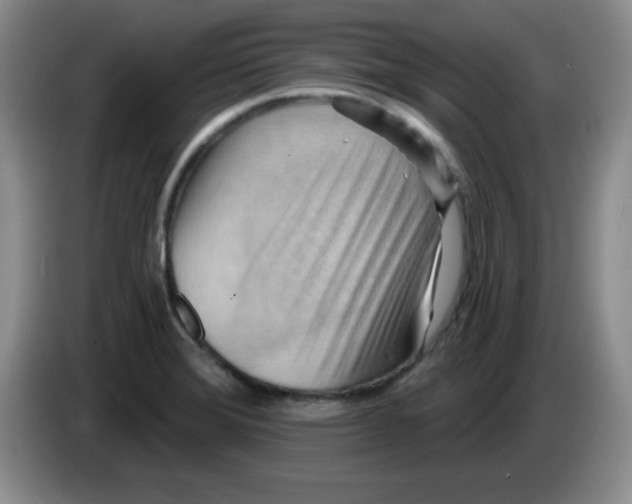 X0000083971372200703091753
