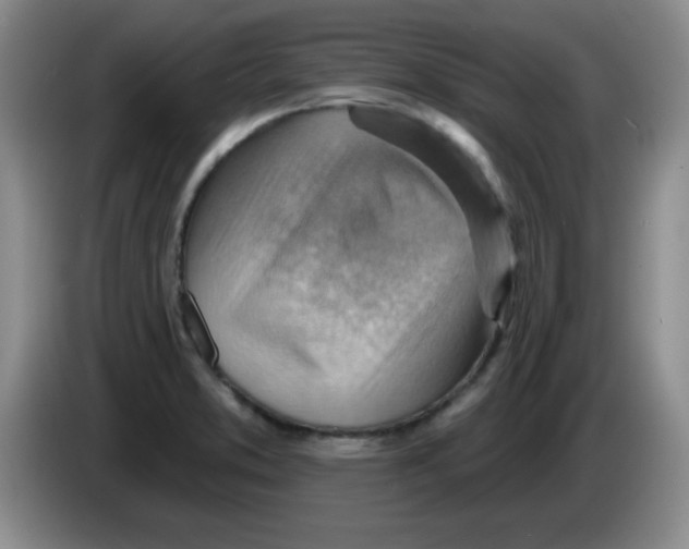 X0000083971373200703091753