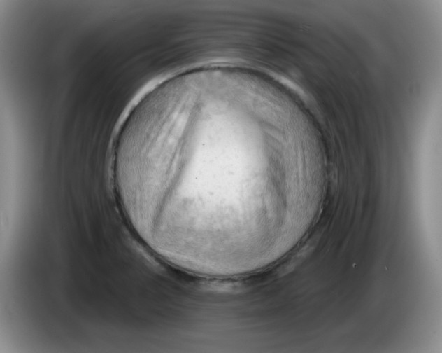 X0000083971374200703091753