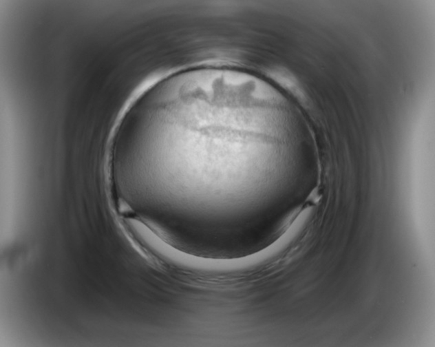 X0000083971375200703091753