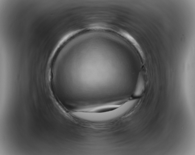 X0000083971376200703091753