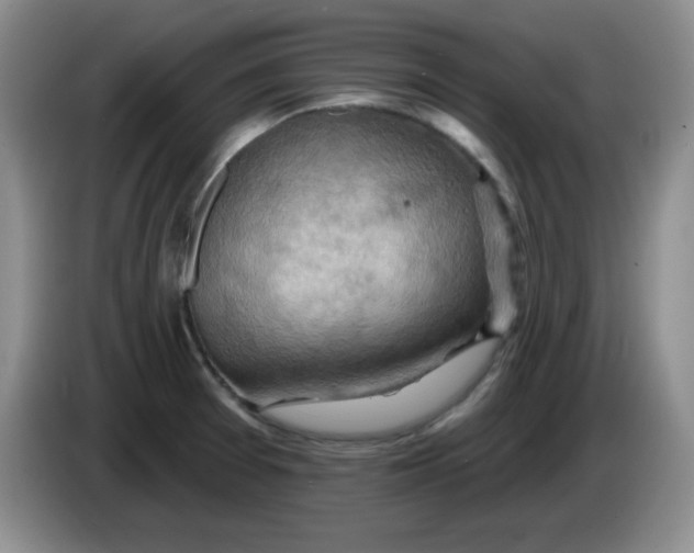 X0000083971377200703091753