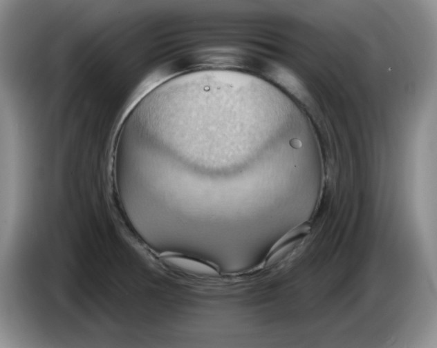 X0000083971378200703091753