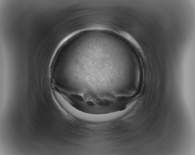 X0000083971380200703091753