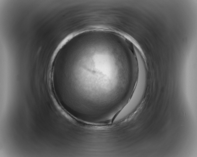 X0000083971381200703091753