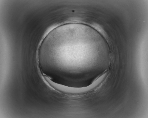 X0000083971382200703091753