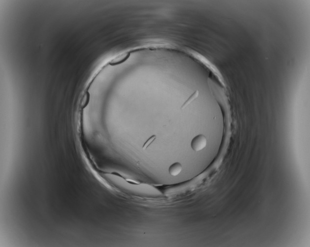 X0000083971383200703091753