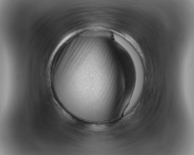 X0000083971384200703091753