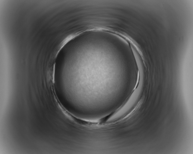 X0000083971385200703091753