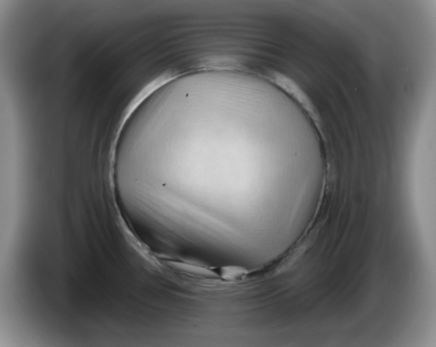 X0000083971386200703091753