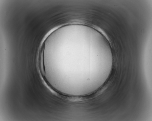 X0000083971387200703091753