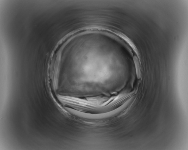 X0000083971388200703091753